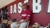 Ncaa Baseball GIF by Arkansas Razorbacks
