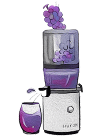 huromeurope vegan purple juice violet Sticker