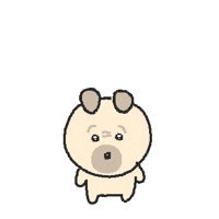 Dog Omg GIF