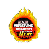 Heat Academy Sticker by wXw Wrestling