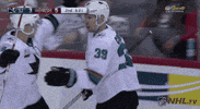 ice hockey GIF by NHL