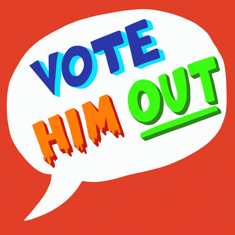 Voting Donald Trump GIF by Creative Courage