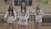 Volleyball Bison GIF by NDSU Athletics