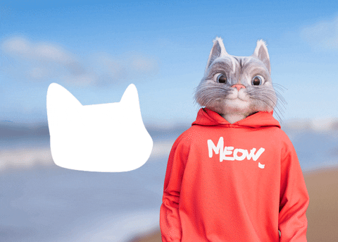 Tam4tik giphyupload cat hello meow GIF