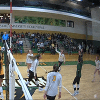 Happy Wright State GIF by Horizon League