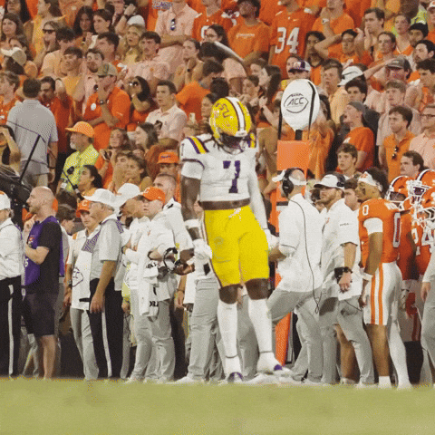 College Football Celebration GIF by LSU Tigers