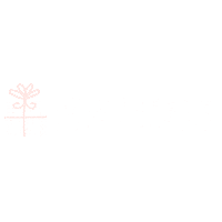 Gifts Sticker by allisoncartercelebrates