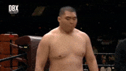Taking It All In GIF by Dirty Boxing Championship