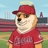 Shiba Inu Dog GIF by Doge Pound
