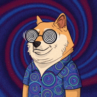 Shiba Inu Smiling GIF by Doge Pound