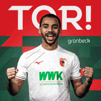 Goal Bundesliga GIF by FC Augsburg 1907