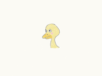blinuet duck blink blinuet GIF