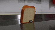 Cat Falling GIF