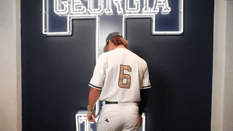 Georgia Tech Baseball GIF by Georgia Tech Yellow Jackets