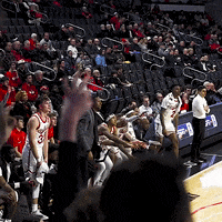 Basketball Celebration GIF by Cincinnati Bearcats