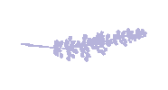 caroliinalos lavanda licart Sticker