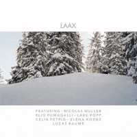 laaxisniceyo snowboard snowboarding laax GIF