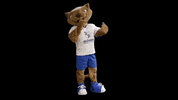 max mascote GIF by Minas Tênis Clube