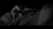Knocked Loose Metal GIF by Pure Noise Records