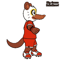Celebrate Big Game Sticker by VeeFriends