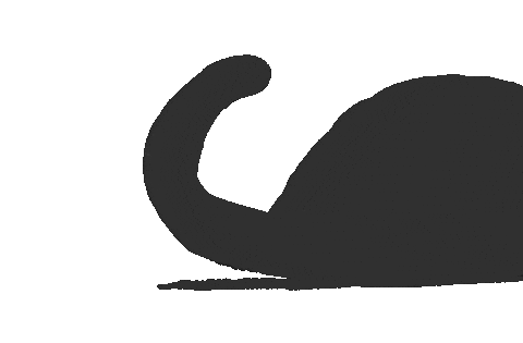 Cat Seek Sticker by gasta