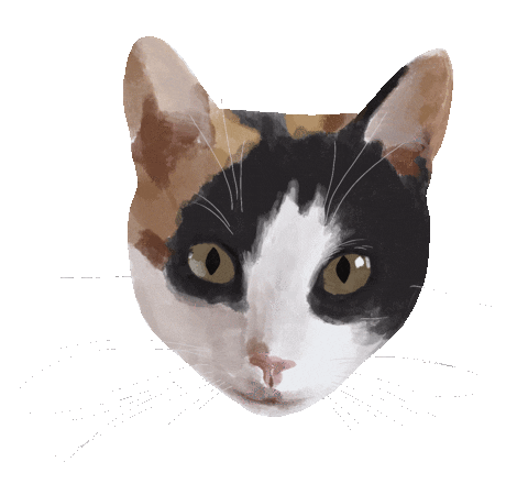 Cat Eyes Sticker