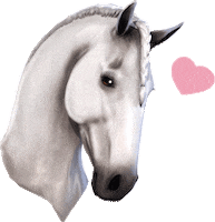 Horses Etg Sticker