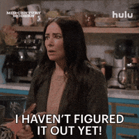 I Dont Know Pamela Adlon GIF by HULU