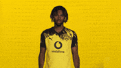 Borussia Dortmund Chukwuemeka GIF by Bundesliga