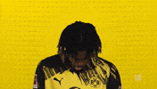 Borussia Dortmund Chukwuemeka GIF by Bundesliga