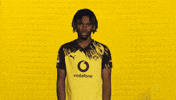Borussia Dortmund Chukwuemeka GIF by Bundesliga