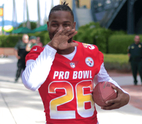 Pittsburgh Steelers Hello GIF by NFL