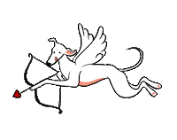 Sanvalentin Sticker by elgalgoazul