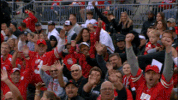 ncaa sports GIF by Ohio State Athletics