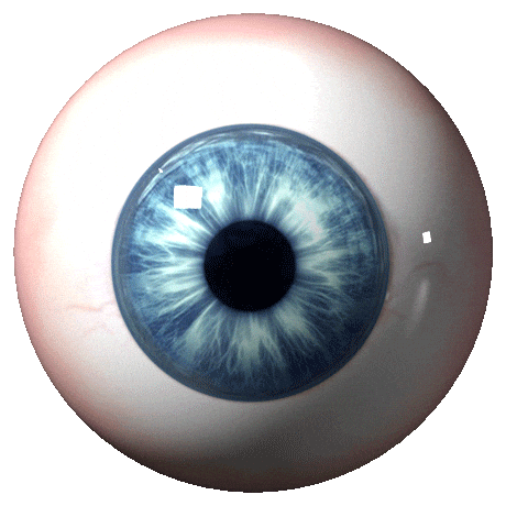 3D Spinning Sticker by NPIRE