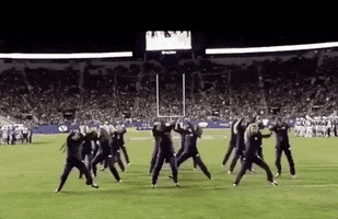 college football mascot GIF by Ben L