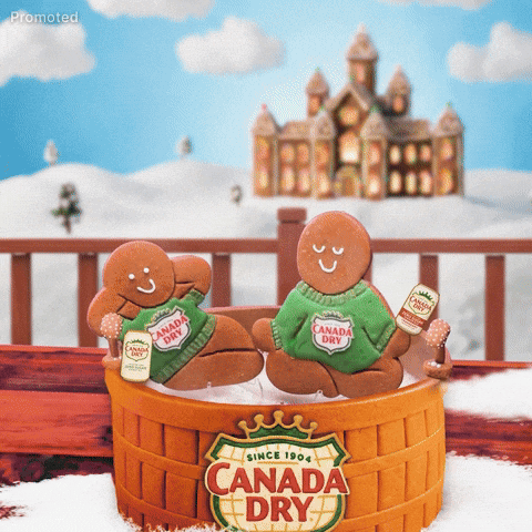 Whats Fizzin GIF by Canada Dry Ginger Ale
