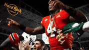 The U Canes GIF by Miami Hurricanes
