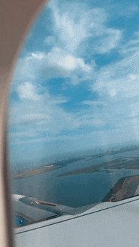 Dog Flying GIF