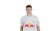 Football Sport Sticker by FC Red Bull Salzburg