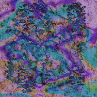 Screcci GIF by A.M.T.G. G.G.