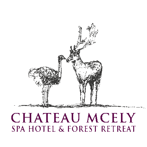 ChateauMcely chateau nely mcely chateaumcely Sticker
