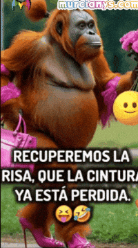 Humor Amigos GIF by Murcianys LLC