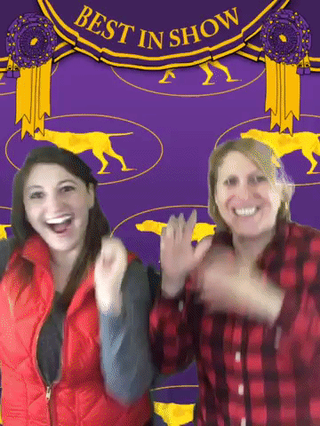wkcdogshow GIF by Westminster Kennel Club