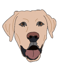 dog puppy Sticker by Petriage