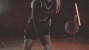 Santa Clara University Go Broncos GIF by Santa Clara Broncos