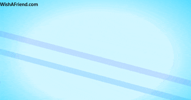 Best Friends Forever Friendship GIF by wishafriend