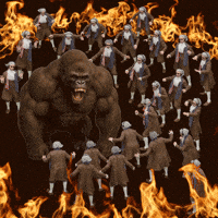 Silverback Gorilla Ape GIF