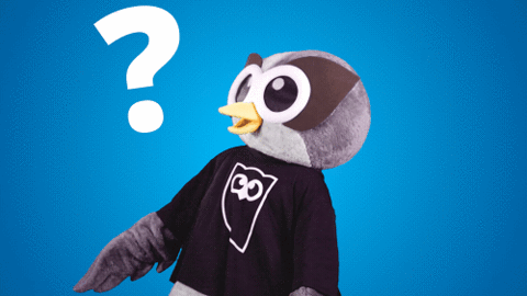 Question Mark What GIF by Hootsuite