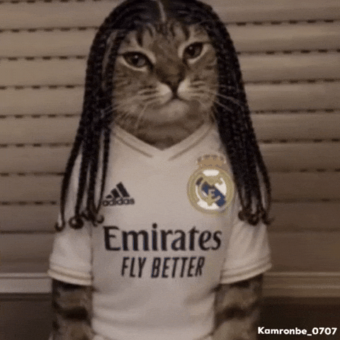 Real Madrid Cat GIF